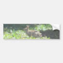 Search for wild bumper stickers Nature