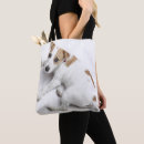 Search for jack russell bags Cute