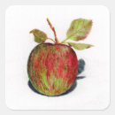 Search for apple cider stickers Green