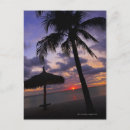Search for aruba vacation postcards Sky