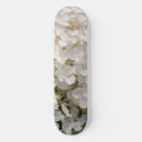 Search for smalls skateboards Nature