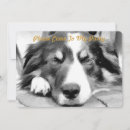 Search for border collie invitations Black and white