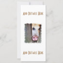 Search for pig cards Cute