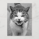 Search for hissing postcards Humour