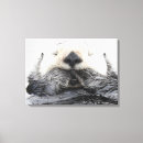 Search for otter canvas prints Wildlife
