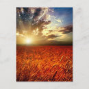 Search for cloud background postcards Beauty