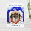 Search for tibetan cards Spaniels