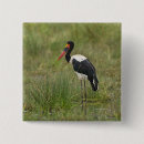 Search for tanzania badges Fauna