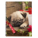 Search for birthday card notebooks Animal