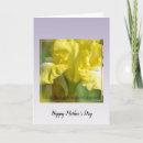 Search for yellow mothers day cards Sentimental