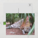 Search for parasaurolophus postcards Dino