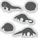 Search for small mammal stickers Cute