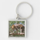 Search for south america key rings Animal