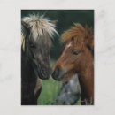 Search for miniatures postcards Bob langrish