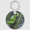 Search for amphibian round key rings Green