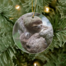 Search for sloth decor Wildlife