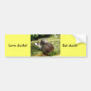 Search for love birds bumper stickers Nature