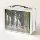 Search for husky lunch boxes Dog