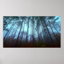 Search for pine trees posters Mist