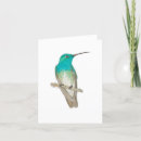 Search for chest cards Bird
