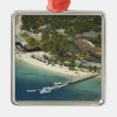 Search for fiji christmas tree decorations Island