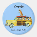 Search for welsh magnets Pets