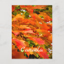 Search for fall colours postcards Maple tree