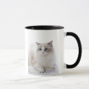 Search for ragdoll cats mugs Animals