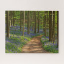 Search for belgium puzzles Forest