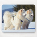 Search for samoyed mousepads Pet