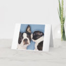 Search for boston terrier mothers day cards Dogs