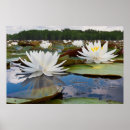 Search for larry ditto posters Landscape