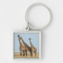 Search for poses key rings Wildlife