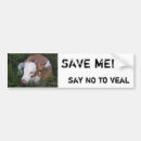 Search for animal cruelty bumper stickers Vegetarian