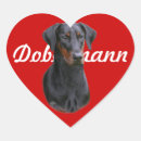 Search for dobermann stickers Pinscher