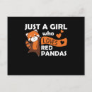 Search for cute red panda bear postcards Kawaii