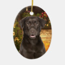 Search for chocolate christmas tree decorations Retriever