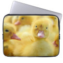 Search for young electronics Cute