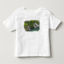 Search for waterfall tshirts National park