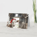 Search for rooster christmas cards Watercolor