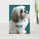 Search for dog waiting postcards Funny