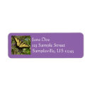 Search for tigers return address labels Nature