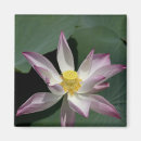 Search for vietnam magnets Pink