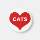 Search for cat magnets Kitten