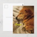 Search for smiles postcards Dog