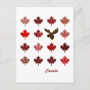 Search for canadian maple leaf postcards Vacation