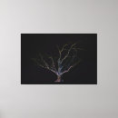 Search for black oak tree art Nature