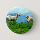 Search for ewes badges Sheep