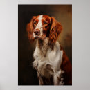 Search for irish setter art Puppy
