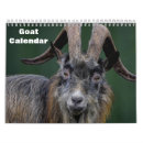 Search for goat calendars Animal